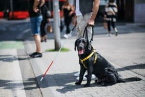 Service Animals and Individuals with Disabilities